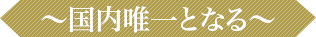 国内唯一となる